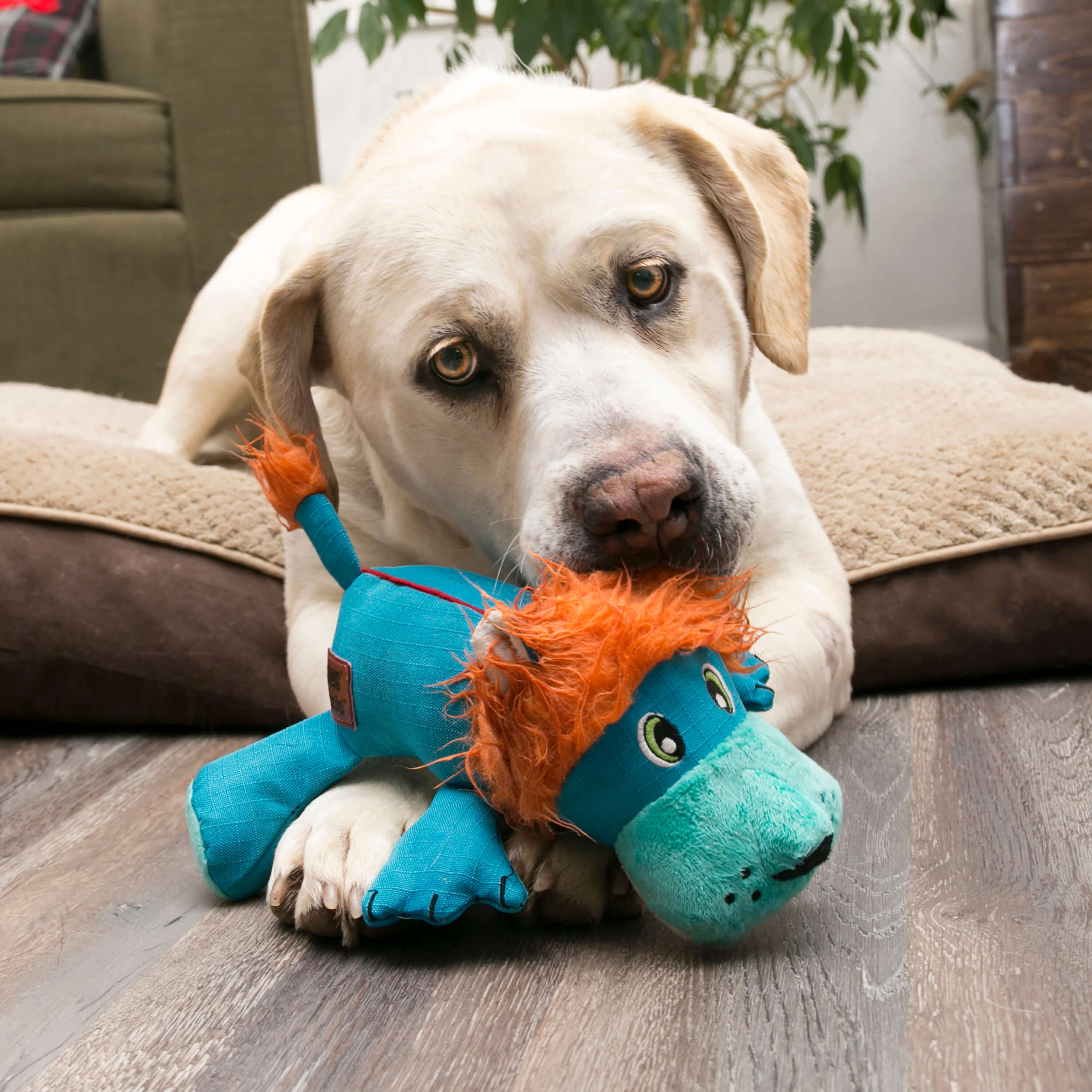 KONG | Cozie Ultra Lucky Lion | Dog Toy